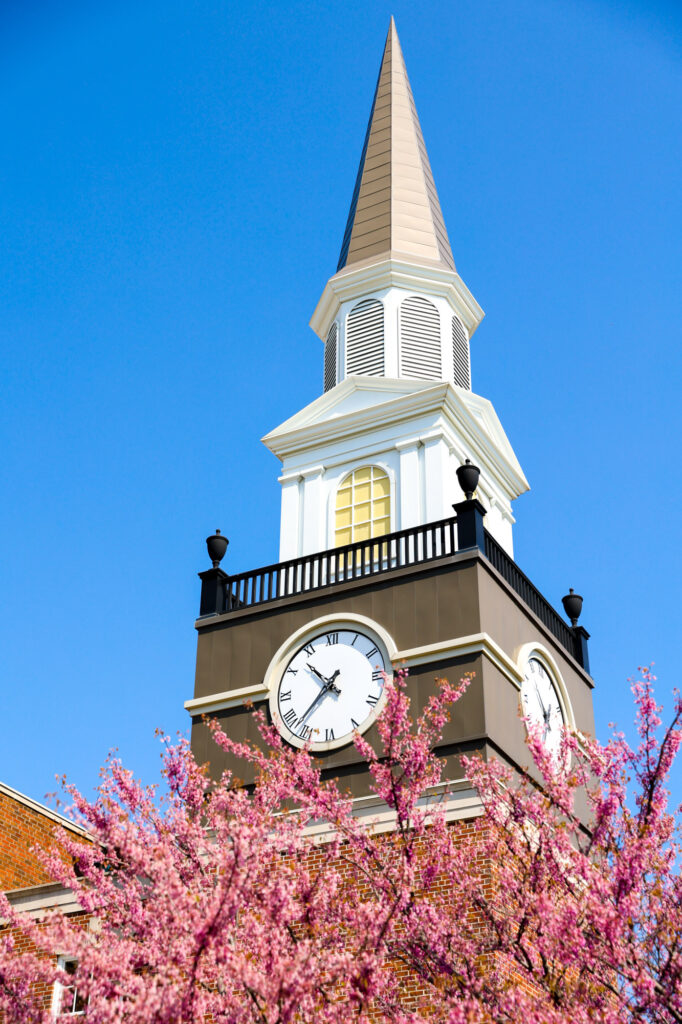 Close-up view of the clock tower spire atop Gano Chapel at William Jewell College, rising above pink cherry blossoms.