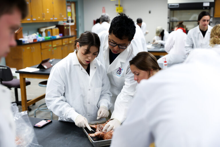 Three students in white lab coats and gloves examining a specimen during a biology laboratory session.