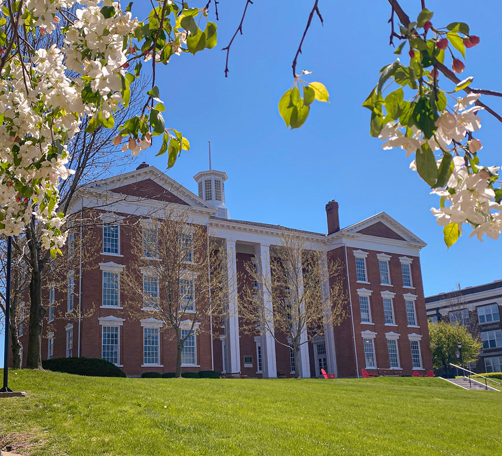 Historic brick Jewell Hall framed by blooming white tree blossoms and a clear blue sky in spring.