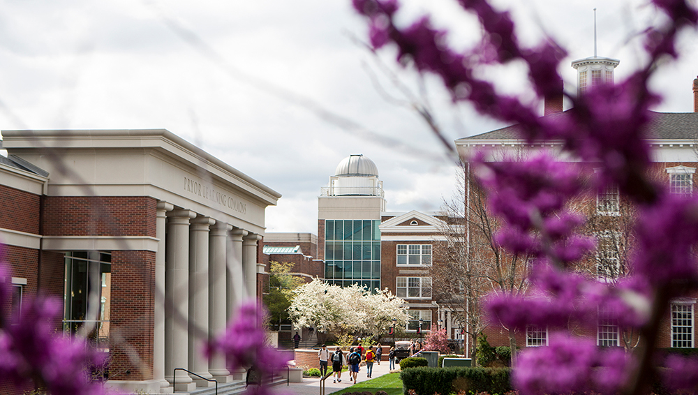 Pryor Learning Commons and Marston Hall framed by purple spring blossoms and students walking along the pathway.