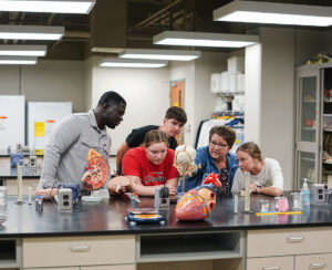 A professor and a group of students examining anatomical models of human organs around a lab table in an anatomy classroom.