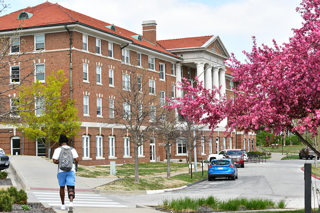 A student walking across a crosswalk toward a brick campus building framed by blooming pink trees.
