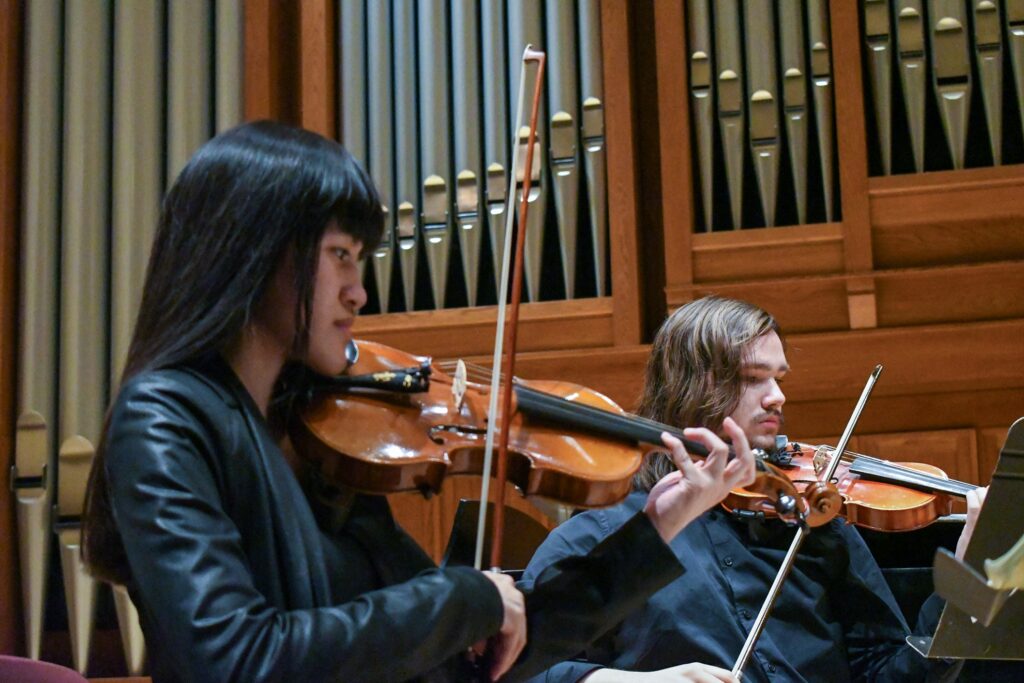 Musician plays violin