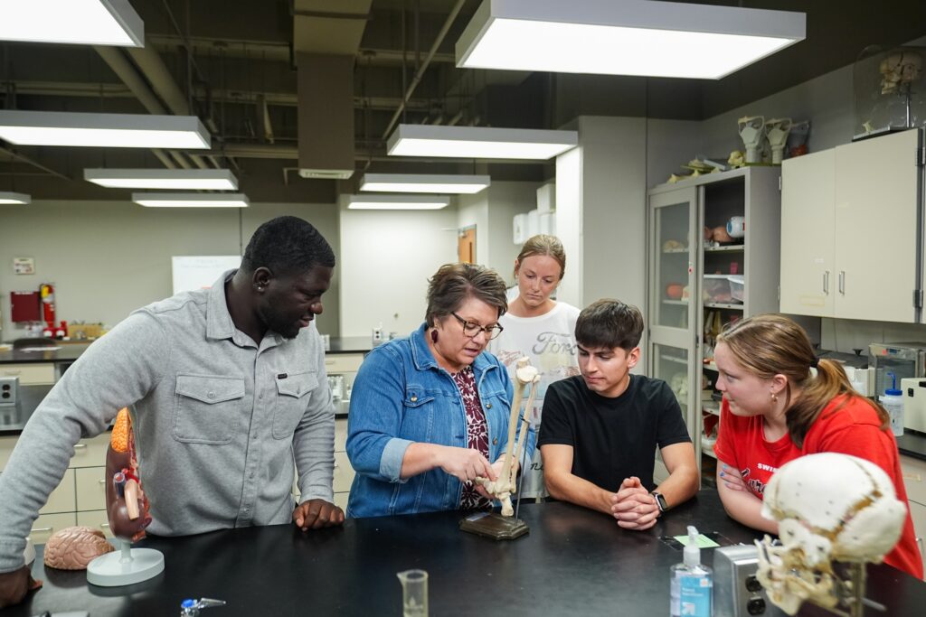 Students look at bone model