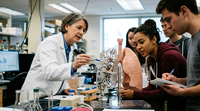 A science instructor using a pen to point out anatomical features on a 3D lung model for a group of attentive students in a lab.